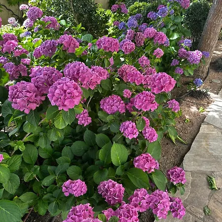 Bord De Avec Piscine Privee * ポルティシオ