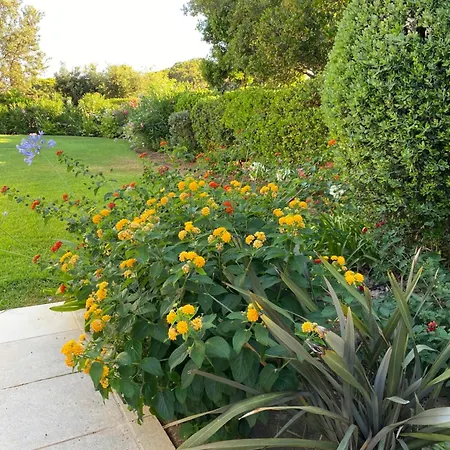 Bord De Avec Piscine Privee * ポルティシオ