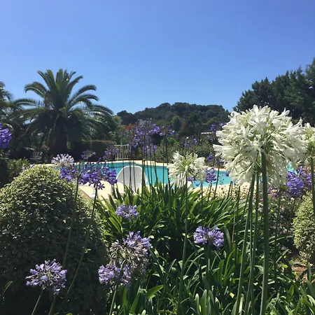 アパート Bord De Avec Piscine Privee ポルティシオ