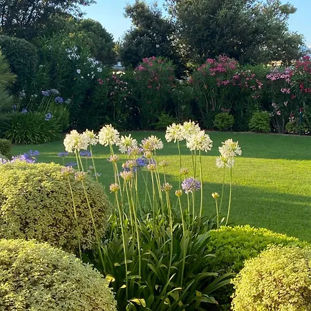 Bord De Avec Piscine Privee *