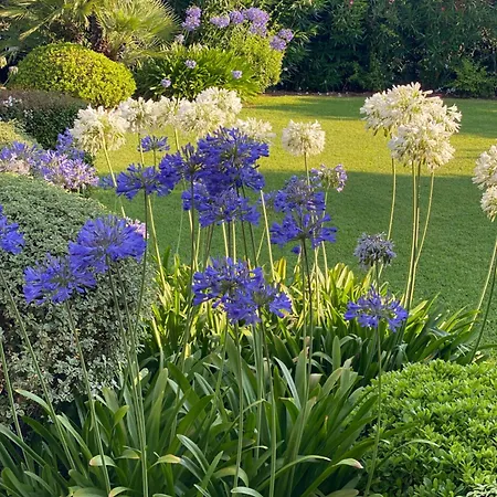 Bord De Avec Piscine Privee