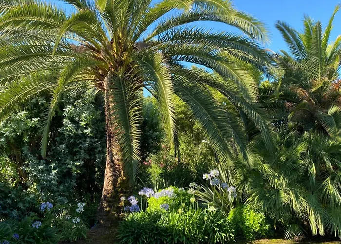 Bord De Avec Piscine Privee דירה