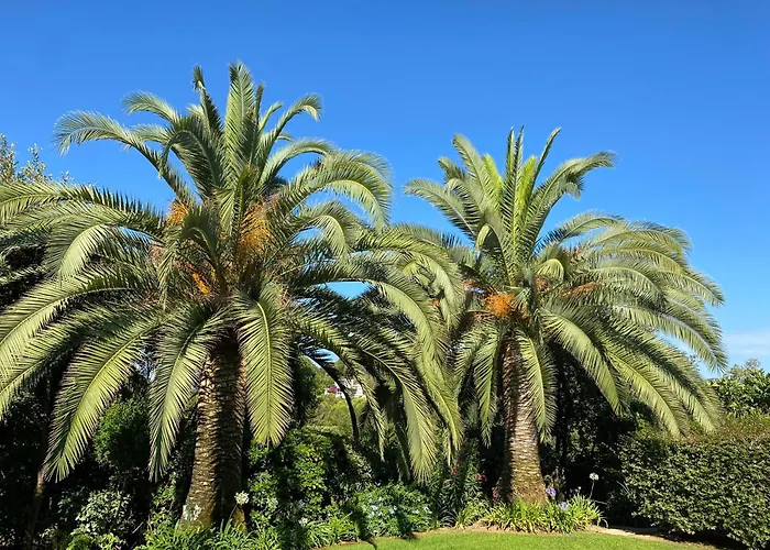 דירה Bord De Avec Piscine Privee *