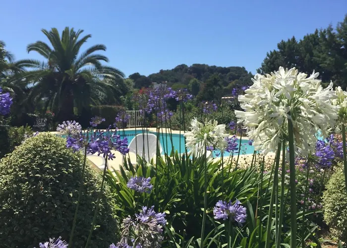 Appartement Bord De Avec Piscine Privee Porticcio (Corsica)