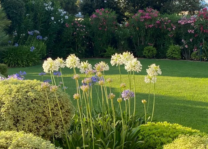 Bord De Avec Piscine Privee *