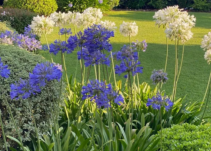 Bord De Avec Piscine Privee